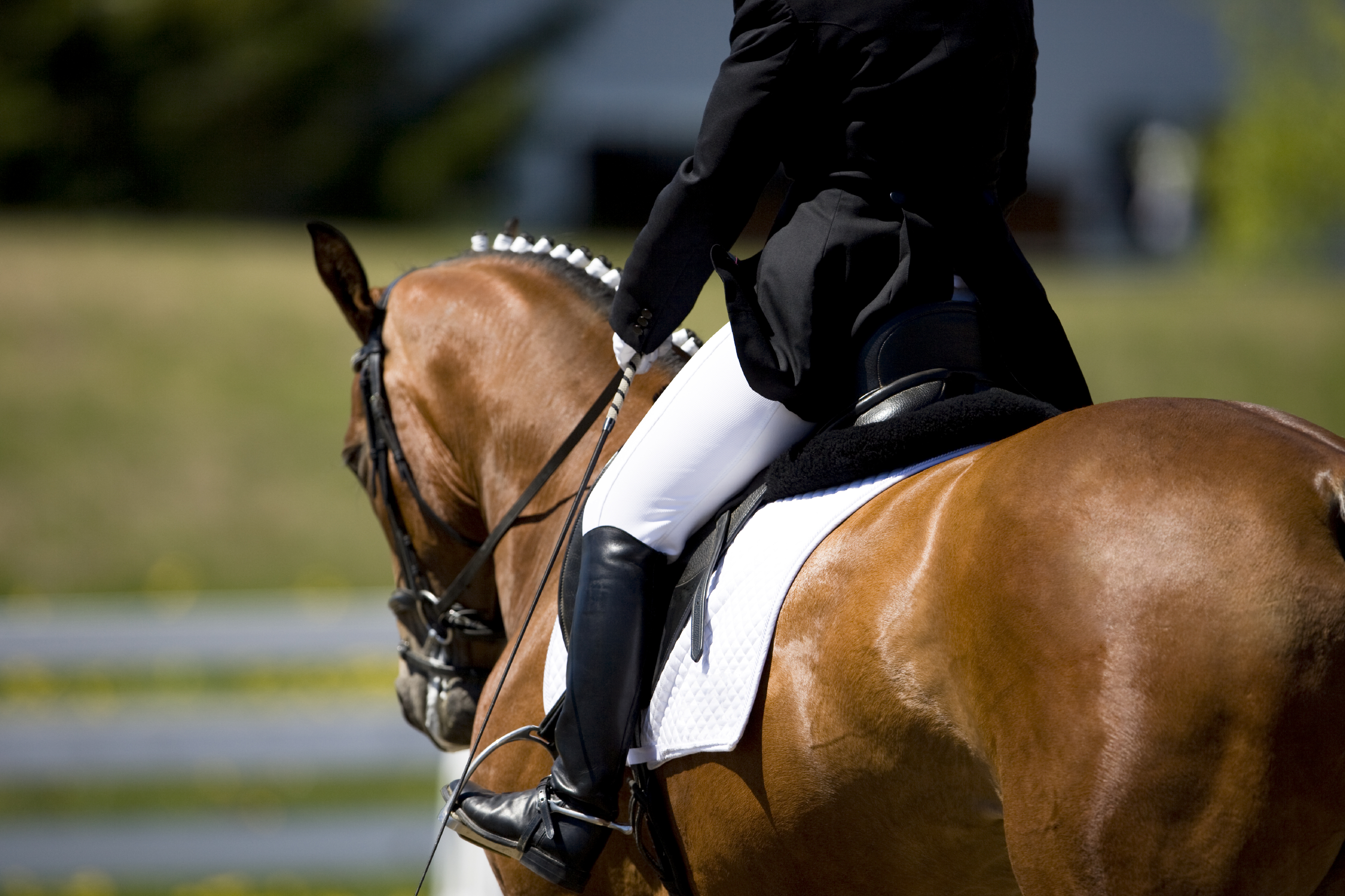 BC Dressage Judges Certiciation